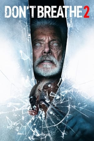 Don’t Breathe 2 (2021) Hindi Dual Audio 720p HDRip [900MB]