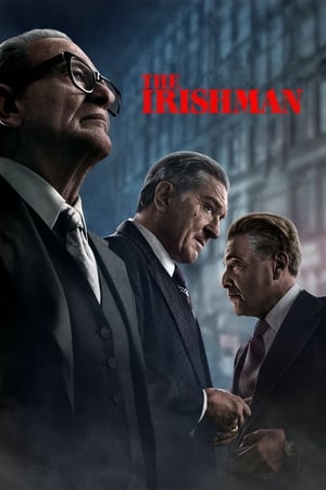 The Irishman 2019 Hindi Dual Audio 720p Web-DL [1.5GB]