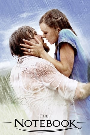 The Notebook 2004 Dual Audio Hindi 480p BRRip 400MB