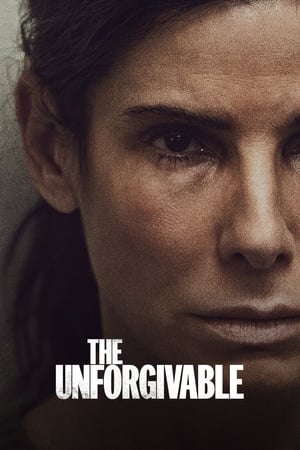 The Unforgivable (2021) Hindi Dual Audio 720p HDRip [1GB]